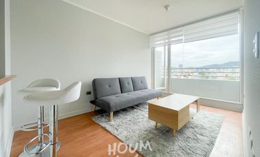 Departamento Anibal pinto ID: 117549r