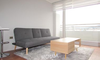 Departamento Anibal pinto ID: 117549r