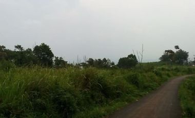 Cheap land for sale 500 hectares in Nagrak Pacet Bandung