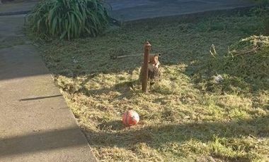 VENTA CASA – LOS ÁNGELES, CHILE IDEAL PARA INVERSION