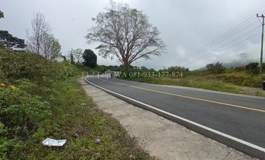 Dijual Tanah Murah di Sembalun Full View Gunung Rinjani