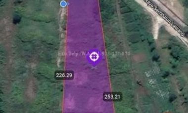 Dijual Tanah Murah di Sembalun Full View Gunung Rinjani