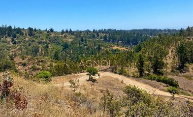 Parcela en Venta en Valle negro, Navidad