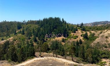 Parcela en Venta en Valle negro, Navidad