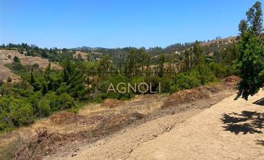 Parcela en Venta en Valle negro, Navidad