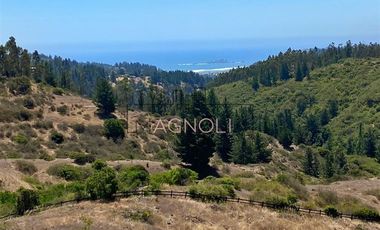 Parcela en Venta en Valle negro, Navidad