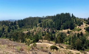 Parcela en Venta en Valle negro, Navidad