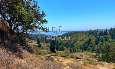 Parcela en Venta en Valle negro, Navidad