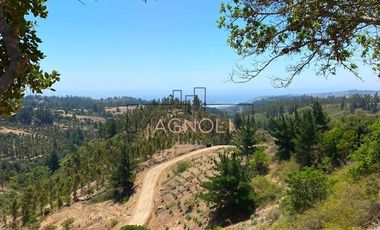 Parcela en Venta en Valle negro, Navidad