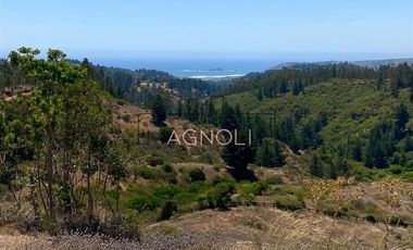 Parcela en Venta en Valle negro, Navidad