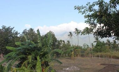 BUILDING LOT FOR SALE IN DAUIN!!