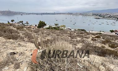 SITIO EN VENTA LA HERRADURA (11)