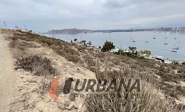 SITIO EN VENTA LA HERRADURA (11)