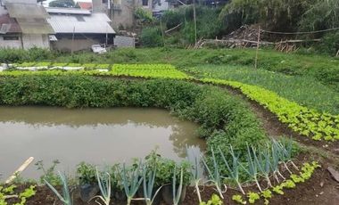 Tanah Kebun Cihanjuang Rahayu Parongpong Bandung Barat