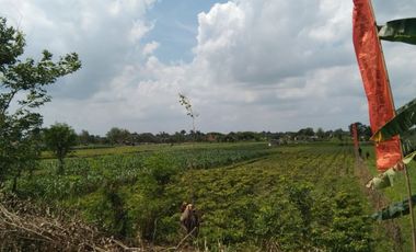 Dapatkan Promo Spesial Launchingnya di Prambanan Village III