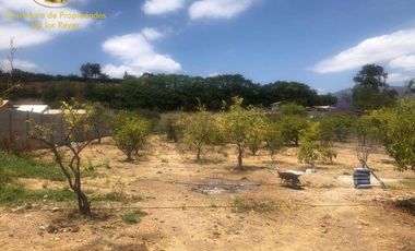 Se vende parcela en la localidad de Olmué, Chile.