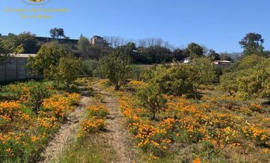Se vende parcela en la localidad de Olmué, Chile.