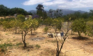 Se vende parcela en la localidad de Olmué, Chile.