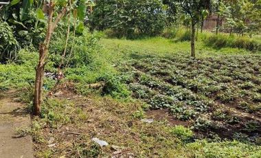 Tanah Sangat Strategis Siap Bangun Cimareme Ngamprah Bandung Barat