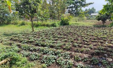 Tanah Sangat Strategis Siap Bangun Cimareme Ngamprah Bandung Barat