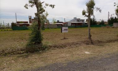 Terreno - Tierra de Sueños Alvear