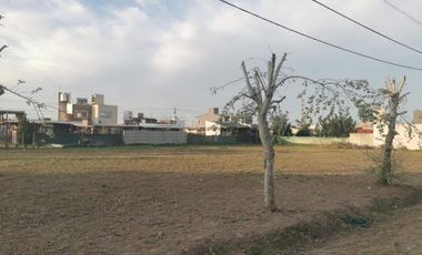 Terreno - Tierra de Sueños Alvear