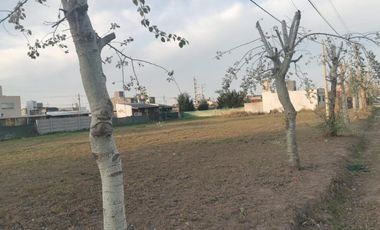 Terreno - Tierra de Sueños Alvear