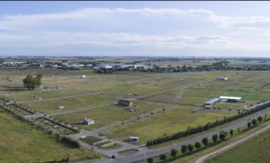 LOTE DE 375 M2 EN BARRIO RESIDENCIAL ECOPUEBLO, ALVEAR A SOLO 17 MINUTOS DE ROSARIO