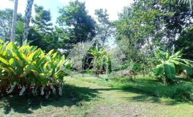 LOTE EN VENTA EN EL FARO VIA AGUAS NEGRAS | 741