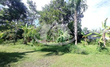 LOTE EN VENTA EN EL FARO VIA AGUAS NEGRAS | 741