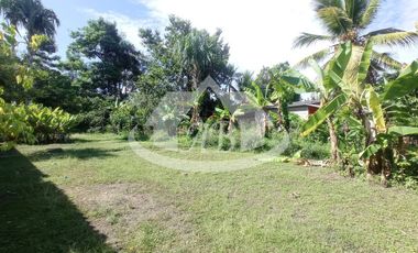 LOTE EN VENTA EN EL FARO VIA AGUAS NEGRAS | 741