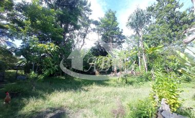 LOTE EN VENTA EN EL FARO VIA AGUAS NEGRAS | 741