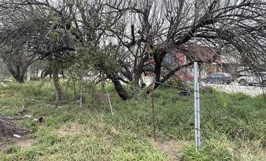 TERRENO EN RENTA EN ANTIGUO CAMINO  AGUA FRIA EN APODACA