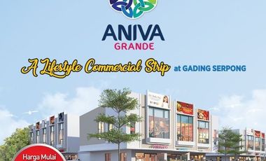 Ruko Ramai dan Strategis Ruko Aniva Grande gading Serpong Tangerang selatan