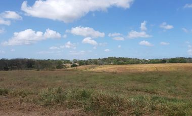 Terreno venta en Arraiján