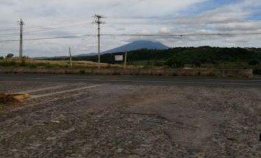 7 HECTAREAS EN VENTA EN TALA TERRENO EN VENTA