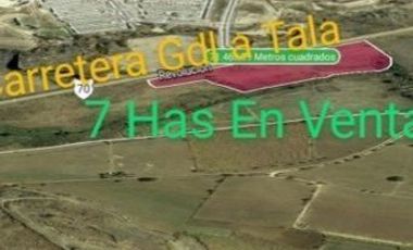 7 HECTAREAS EN VENTA EN TALA TERRENO EN VENTA