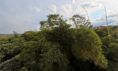 apartamento en arriendo en meléndez. Cod A106402