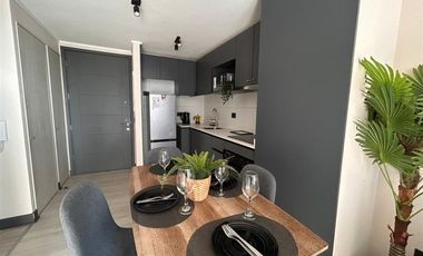 Depto en arriendo Amoblado de 2 dorm. 2b 1E 1B en Ñuñoa