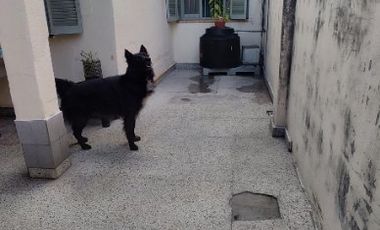 Casa PH en venta en Villa Luzuriaga