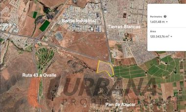 EXCELENTE TERRENO 12 HA LA CANTERA CON PAN DE AZUCAR