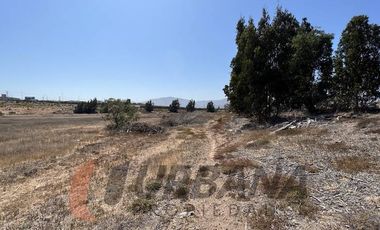 EXCELENTE TERRENO 12 HA LA CANTERA CON PAN DE AZUCAR