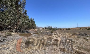 EXCELENTE TERRENO 12 HA LA CANTERA CON PAN DE AZUCAR