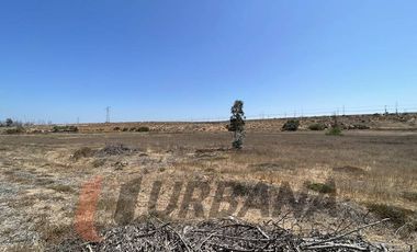 EXCELENTE TERRENO 12 HA LA CANTERA CON PAN DE AZUCAR