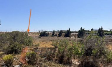 EXCELENTE TERRENO 12 HA LA CANTERA CON PAN DE AZUCAR