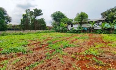 Dijual Kavling Cinere 3845m Jalan Utama Harga Dibawah Pasar