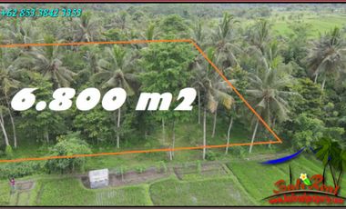 Tanah Dijual Murah 6,800 m2 di Marga Tabanan