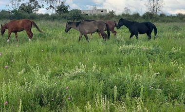 VENTA DE TERRENO EN ACULCO ESTADO DE MÉXICO