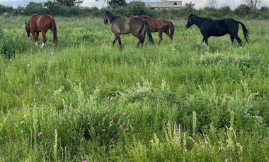 VENTA DE TERRENO EN ACULCO ESTADO DE MÉXICO