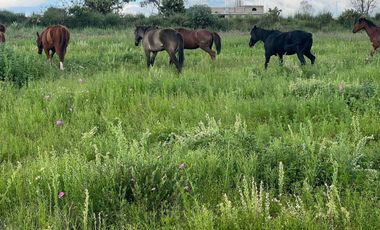 VENTA DE TERRENO EN ACULCO ESTADO DE MÉXICO